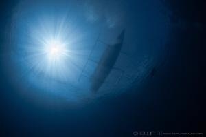B L U E 😊
Shark point - Sunlight, Boat & Diver 
Lombok... by Irwin Ang 